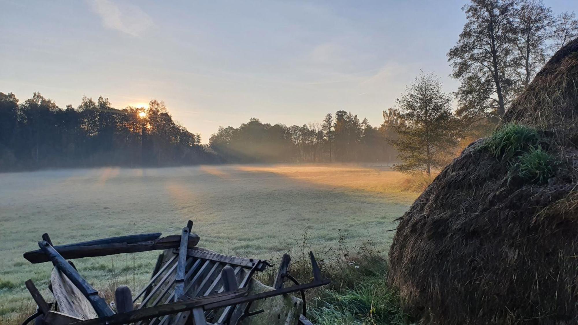 Am Gruenen Meer Myšyn Exterior foto